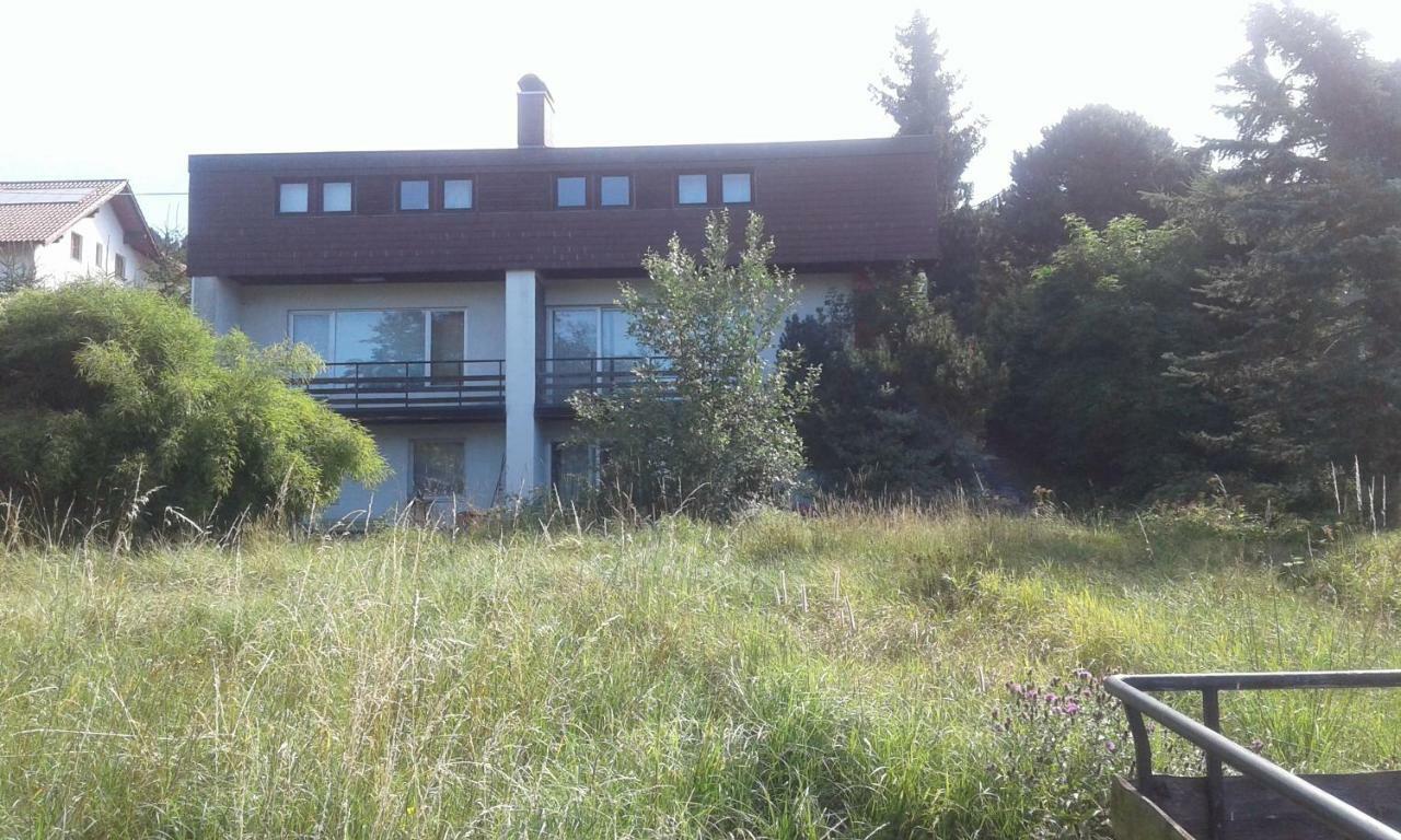 Mostly Muse Eidenberg Dış mekan fotoğraf